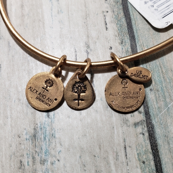 Alex and Ani Energy Bracelet. - Picture 4 of 5